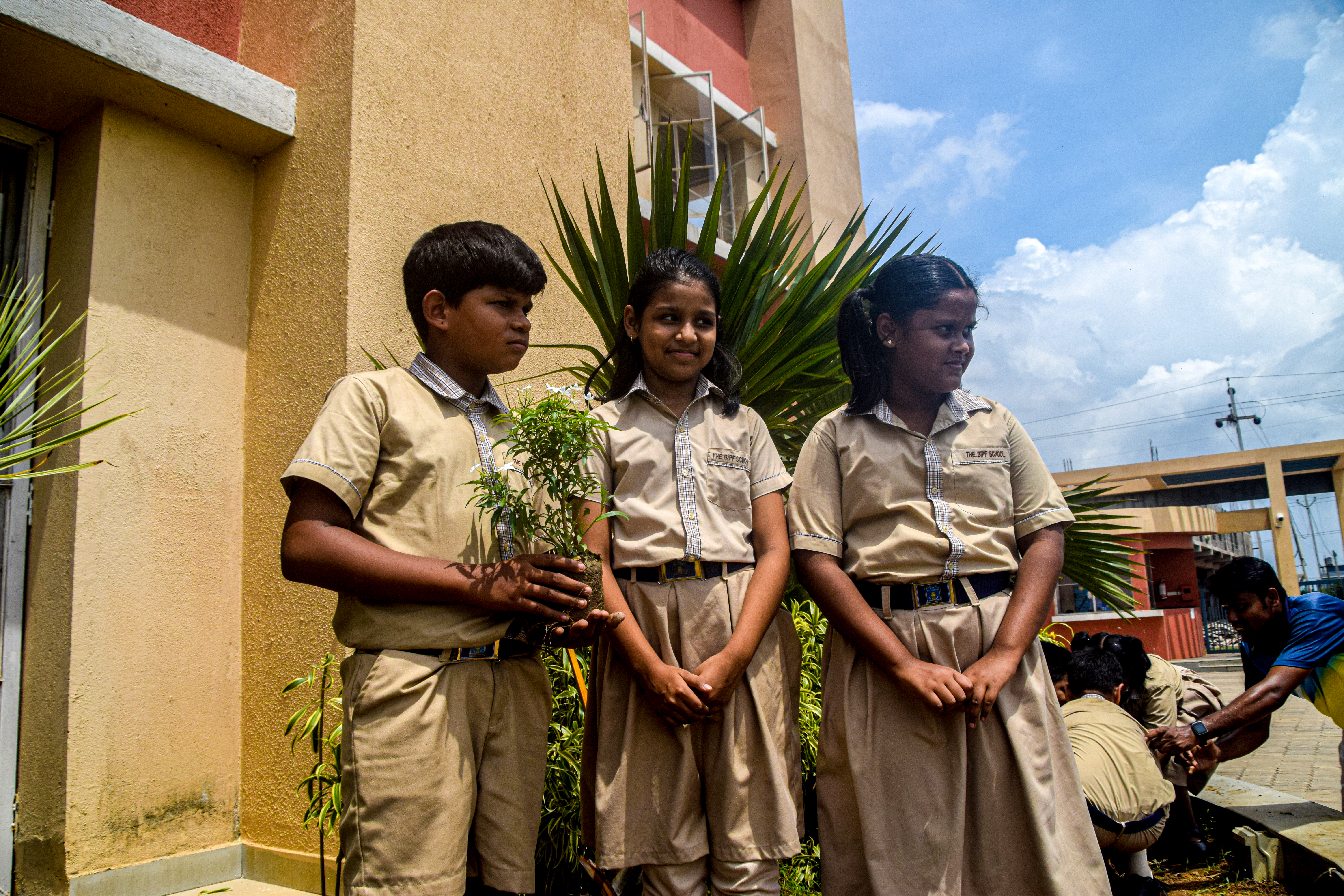 Van mahotsav